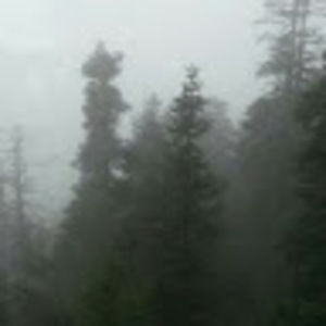 Meet your Posher, Luisa